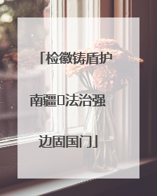 检徽铸盾护南疆 法治强边固国门