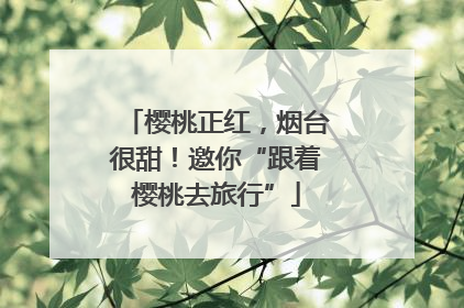 樱桃正红，烟台很甜！邀你“跟着樱桃去旅行”