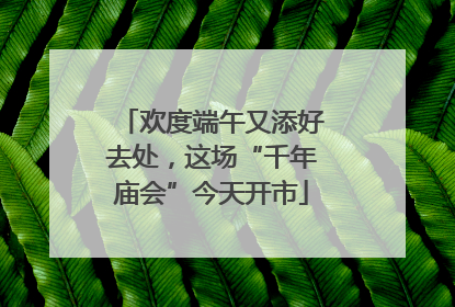 欢度端午又添好去处，这场“千年庙会”今天开市