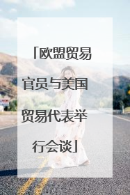欧盟贸易官员与美国贸易代表举行会谈