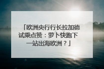 欧洲央行行长拉加德试乘点赞：萝卜快跑下一站出海欧洲？
