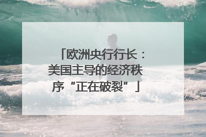 欧洲央行行长：美国主导的经济秩序“正在破裂”
