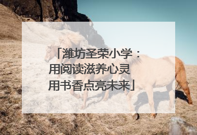 潍坊圣荣小学：用阅读滋养心灵 用书香点亮未来