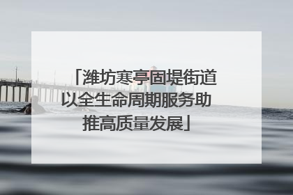 潍坊寒亭固堤街道以全生命周期服务助推高质量发展