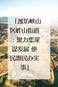 潍坊峡山区岞山街道：聚力集采谋发展 便民惠民办实事