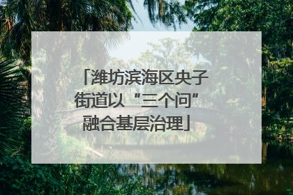 潍坊滨海区央子街道以“三个问”融合基层治理