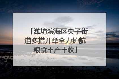 潍坊滨海区央子街道多措并举全力护航粮食丰产丰收