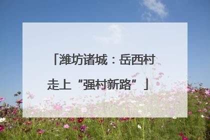 潍坊诸城：岳西村走上“强村新路”
