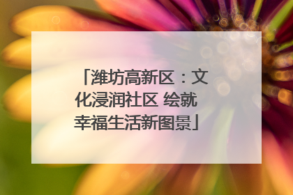 潍坊高新区：文化浸润社区 绘就幸福生活新图景