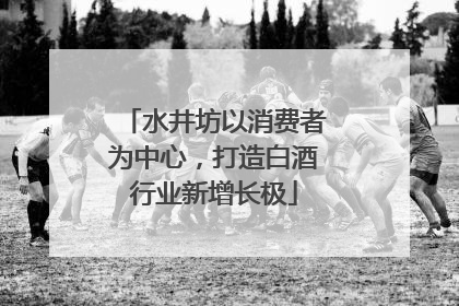 水井坊以消费者为中心，打造白酒行业新增长极
