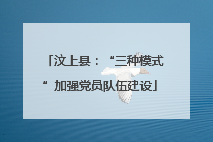 汶上县：“三种模式”加强党员队伍建设