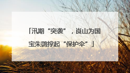 汛期“突袭”，崀山为国宝朱鹮撑起“保护伞”