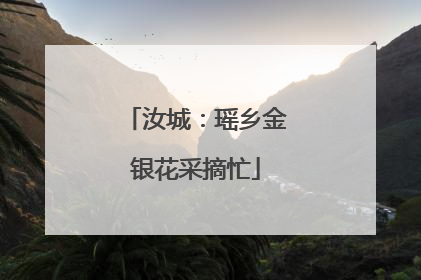 汝城：瑶乡金银花采摘忙