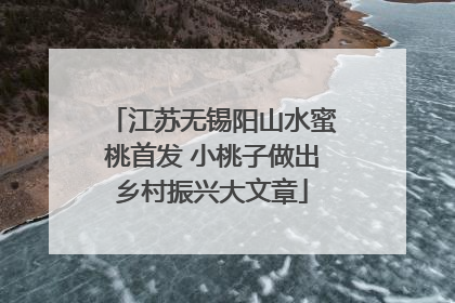 江苏无锡阳山水蜜桃首发 小桃子做出乡村振兴大文章