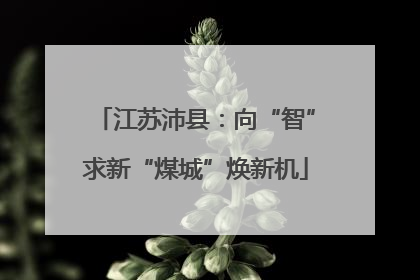 江苏沛县：向“智”求新“煤城”焕新机