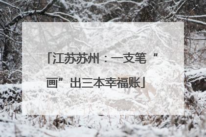 江苏苏州：一支笔“画”出三本幸福账