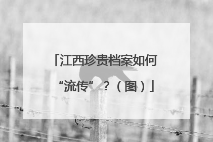 江西珍贵档案如何“流传”？（图）
