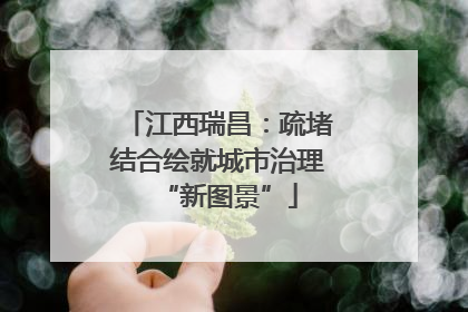 江西瑞昌：疏堵结合绘就城市治理“新图景”