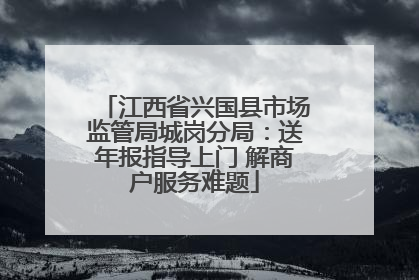 江西省兴国县市场监管局城岗分局：送年报指导上门 解商户服务难题