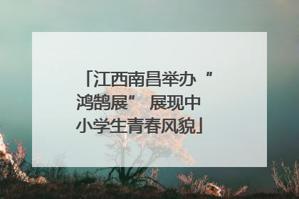 江西南昌举办“鸿鹄展” 展现中小学生青春风貌