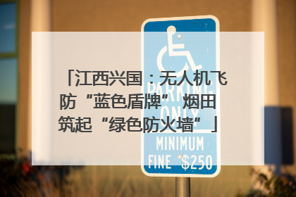 江西兴国：无人机飞防“蓝色盾牌” 烟田筑起“绿色防火墙”