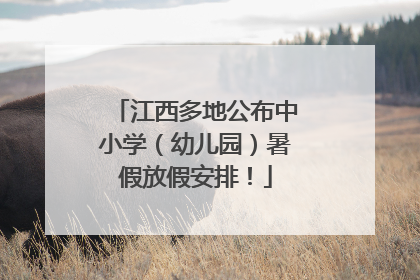 江西多地公布中小学（幼儿园）暑假放假安排！