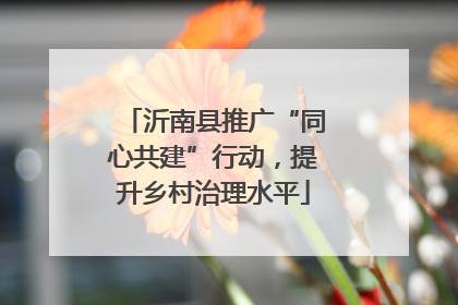 沂南县推广“同心共建”行动，提升乡村治理水平