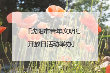 沈阳市青年文明号开放日活动举办