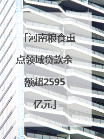 河南粮食重点领域贷款余额超2595亿元
