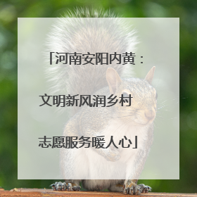 河南安阳内黄：文明新风润乡村 志愿服务暖人心