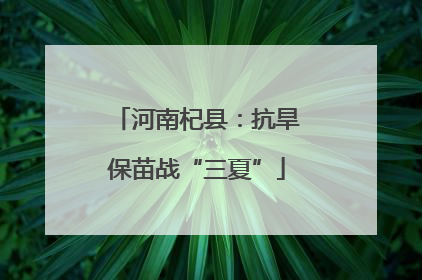 河南杞县：抗旱保苗战“三夏”