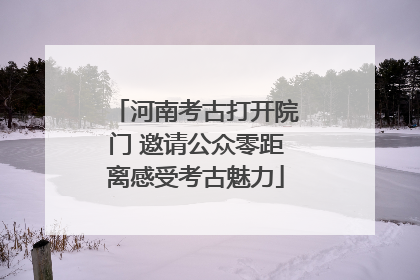 河南考古打开院门 邀请公众零距离感受考古魅力