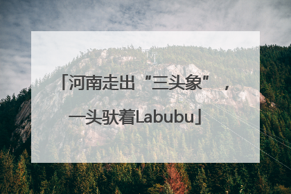 河南走出“三头象”，一头驮着Labubu