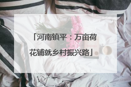 河南镇平：万亩荷花铺就乡村振兴路