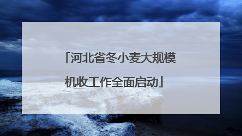 河北省冬小麦大规模机收工作全面启动