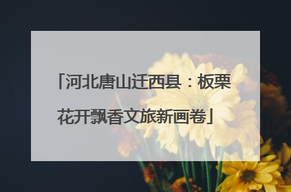 河北唐山迁西县：板栗花开飘香文旅新画卷