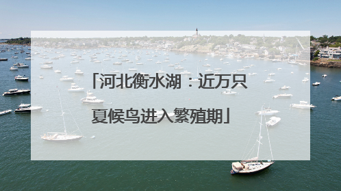 河北衡水湖：近万只夏候鸟进入繁殖期