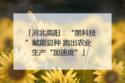 河北高阳：“黑科技”赋能夏种 跑出农业生产“加速度”