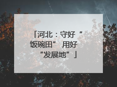 河北：守好“饭碗田” 用好“发展地”