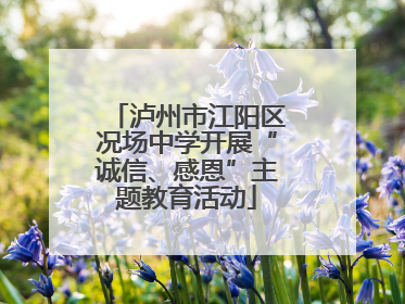 泸州市江阳区况场中学开展“诚信、感恩”主题教育活动
