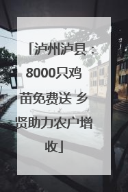 泸州泸县：8000只鸡苗免费送 乡贤助力农户增收