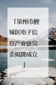 泉州市鲤城区电子信息产业链党委揭牌成立
