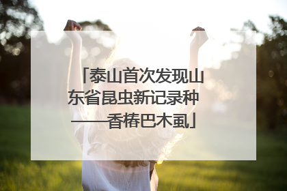 泰山首次发现山东省昆虫新记录种——香椿巴木虱