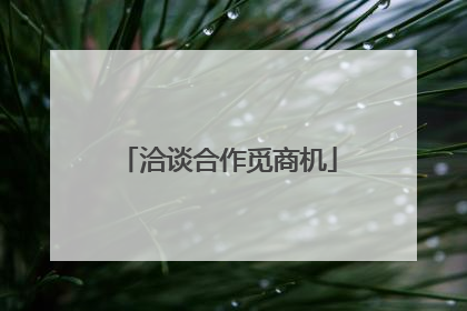 洽谈合作觅商机