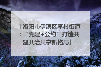 洛阳市伊滨区李村街道：“党建+公约”打造共建共治共享新格局