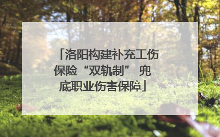 洛阳构建补充工伤保险“双轨制” 兜底职业伤害保障