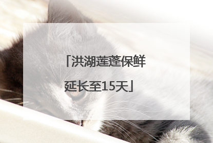 洪湖莲蓬保鲜延长至15天