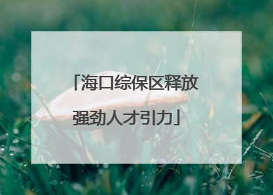 海口综保区释放强劲人才引力