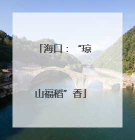 海口：“琼山福稻”香
