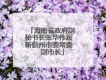 海南省政府副秘书长张华伟履新儋州市委常委、副市长